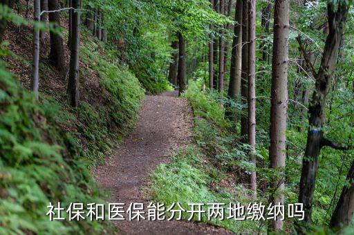 養(yǎng)老保險和醫(yī)療保險可以異地繳嗎,異地辦理養(yǎng)老保險和醫(yī)療保險能辦理嗎...